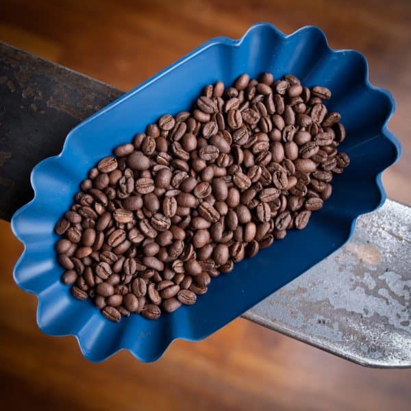 container of roasted coffee beans