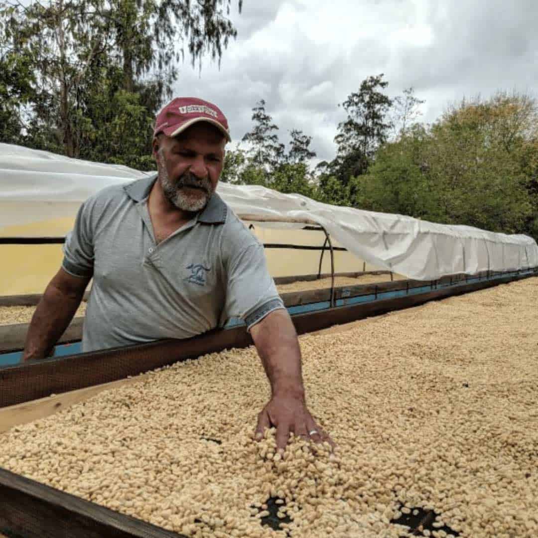 container of roasted coffee beans