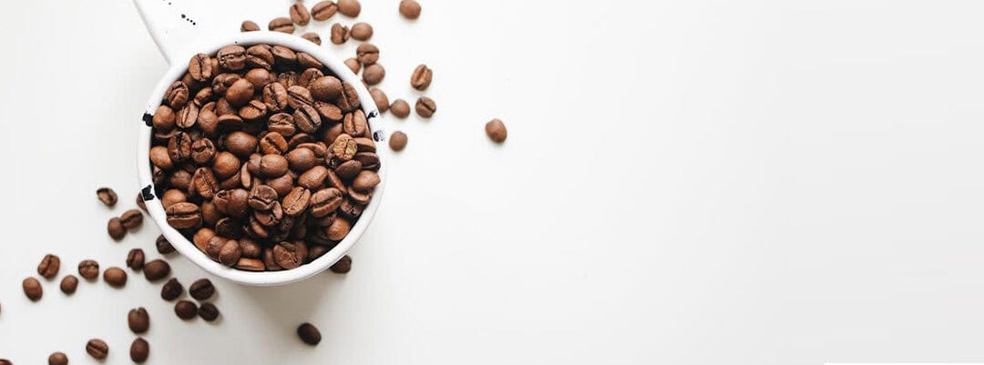 Annual Open House Celebrating 16 Years!