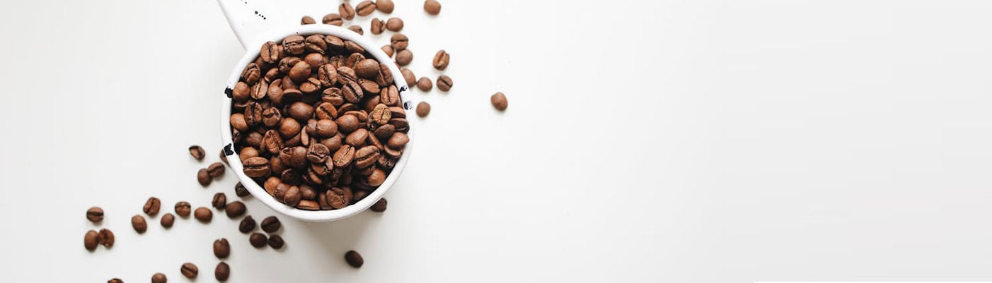 Annual Open House Celebrating 16 Years!